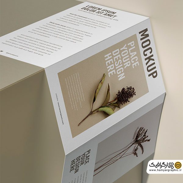 دانلود موکاپ رایگان بروشور