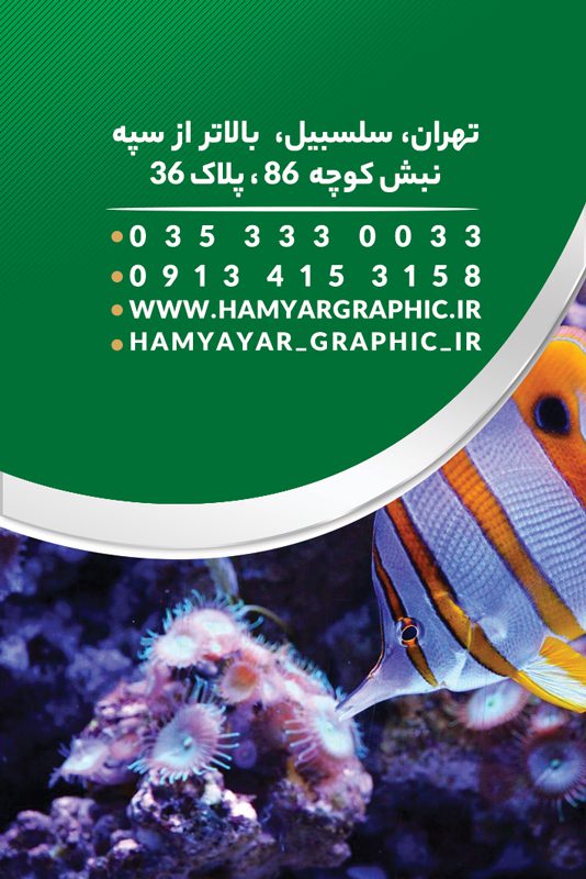 کارت ویزیت لایه باز ماهی فروشی و آکواریوم