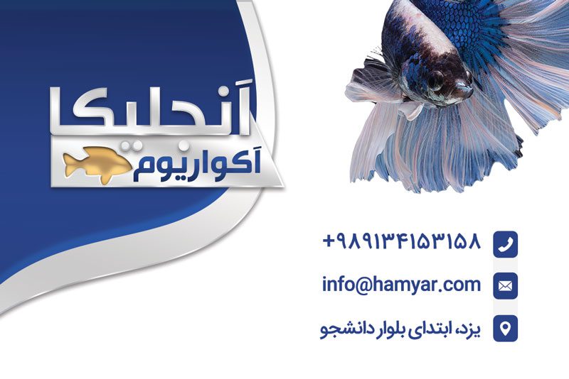 کارت ویزیت لایه باز ماهی فروشی