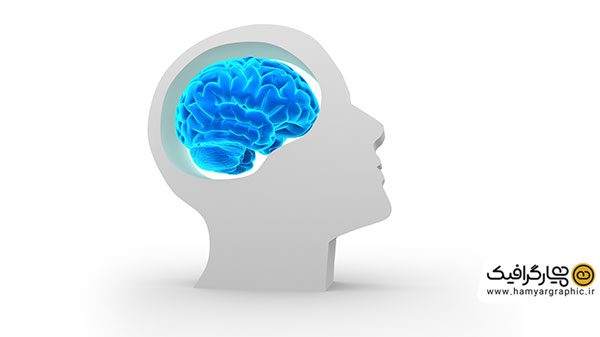 دانلود عکس با کیفیت مغز