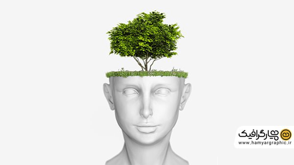 عکس سر و درخت