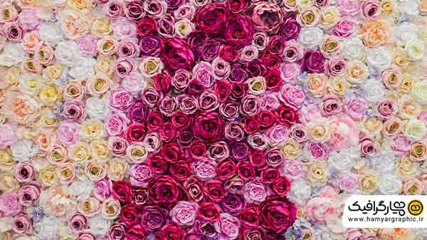 عکس باکیفیت گل