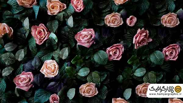 بکگراند باکیفیت گل