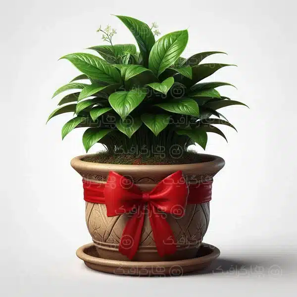 سبزه عید نوروز