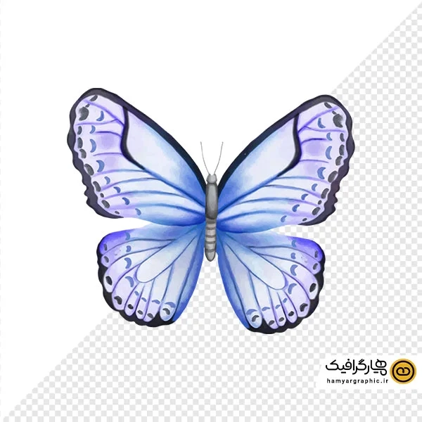 دانلود تصویر PNG از پروانه کارتونی