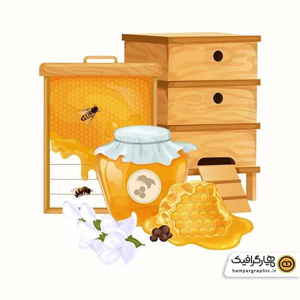 دانلود وکتور کندوی زنبور عسل