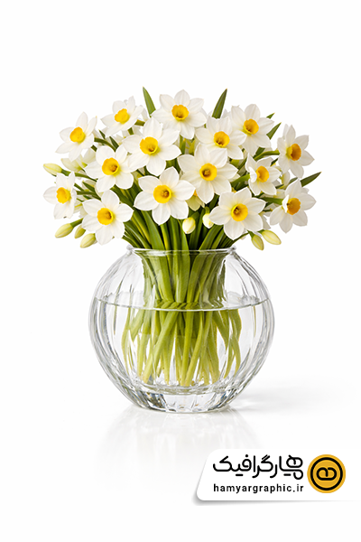 تصویر با کیفیت دسته گل نرگس با گلدان شیشه ای | گل نرگس با گلدان