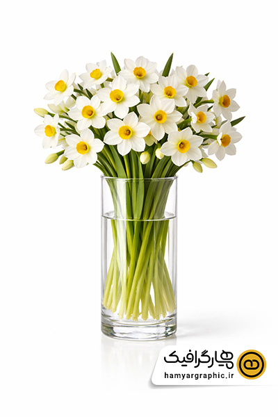 عکس با کیفیت دسته گل نرگس با گلدان بلور استوانه ای